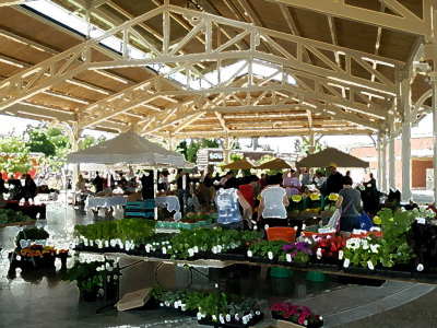 Flower-Market.jpg