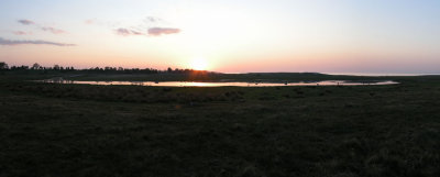 Lilla viken, Rnnen