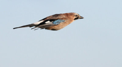 g1/63/814263/3/129780441.T9lnB6eh.jpg