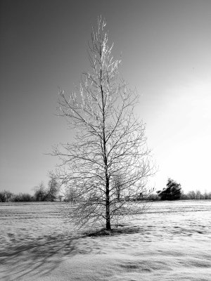 Ice storm