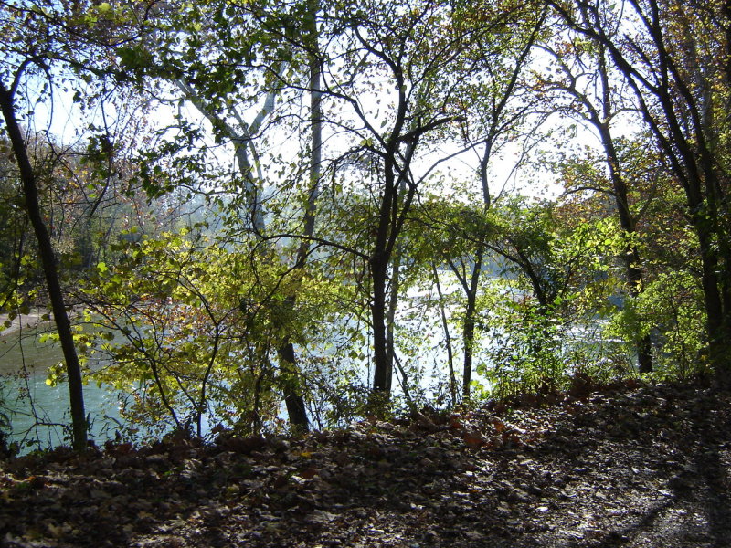 DSC05151.JPG