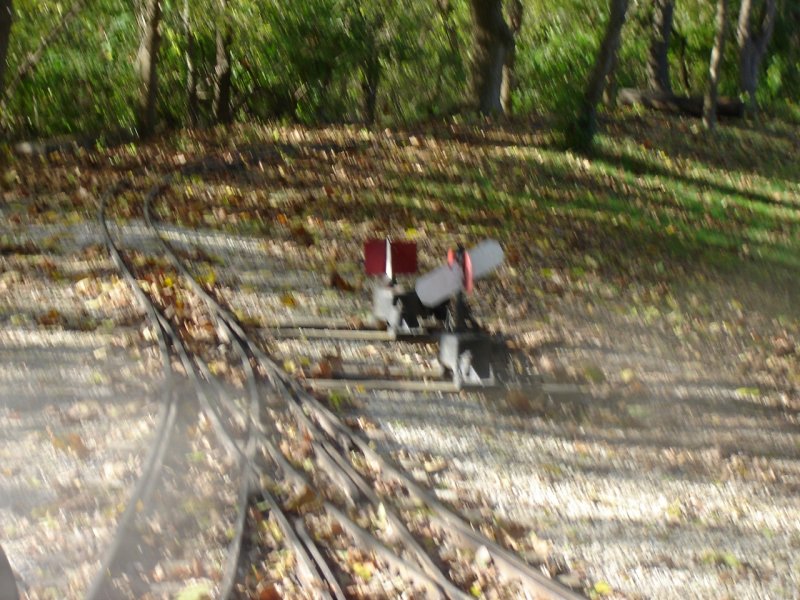 DSC05161.JPG