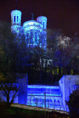 DSC_1037_raw.jpg