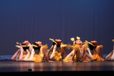 IMG_5337.JPG