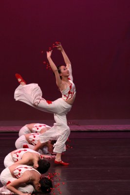 IMG_8406.JPG