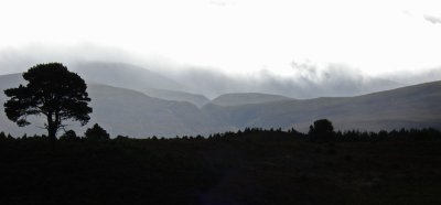 Cairngorm Mountains, Scotland