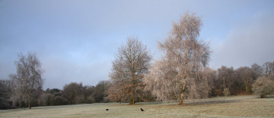 Mousehold heath, Norwich