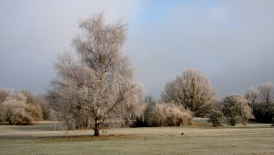 Mousehold heath, Norwich