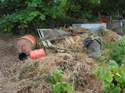 allotment.jpg