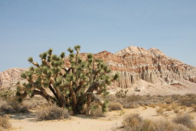 red rock canyon