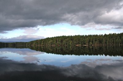 Loch Garten.jpg