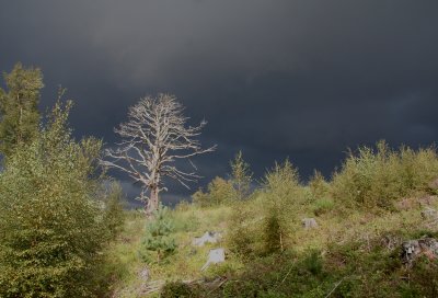 Storm over  Glenmore.jpg