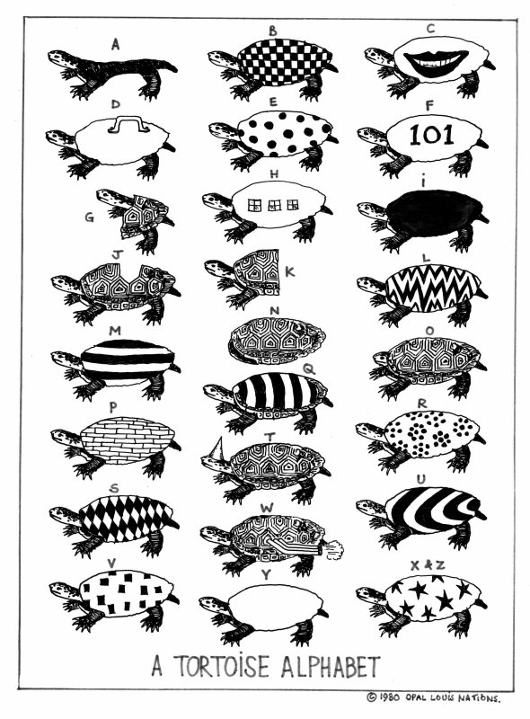 Tortoise alphabet