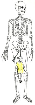 Skeleton w-hanging girl