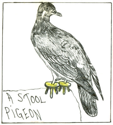 Stool-Pigeon