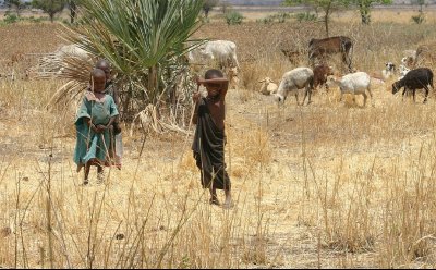 Maasi Animal herders