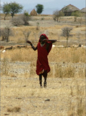 Maasi Animal Guard