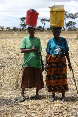 Maasi females