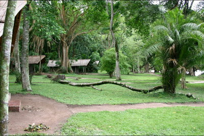 Rubondo Island Camp