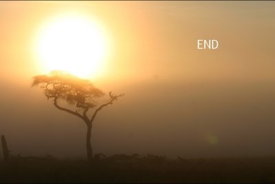 End Montagus Harrier