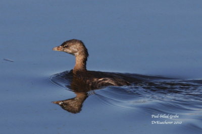 Horicon Marsh - Wisconsin