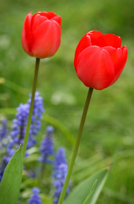 15th April