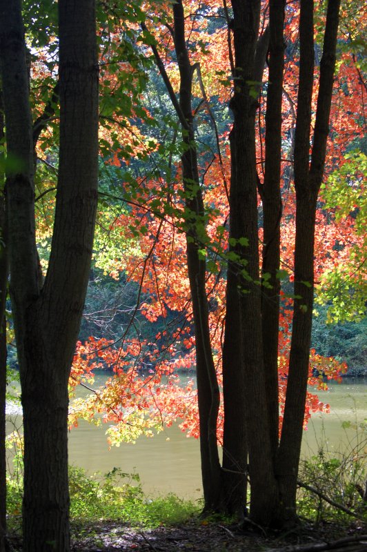 DSC_0023.JPG