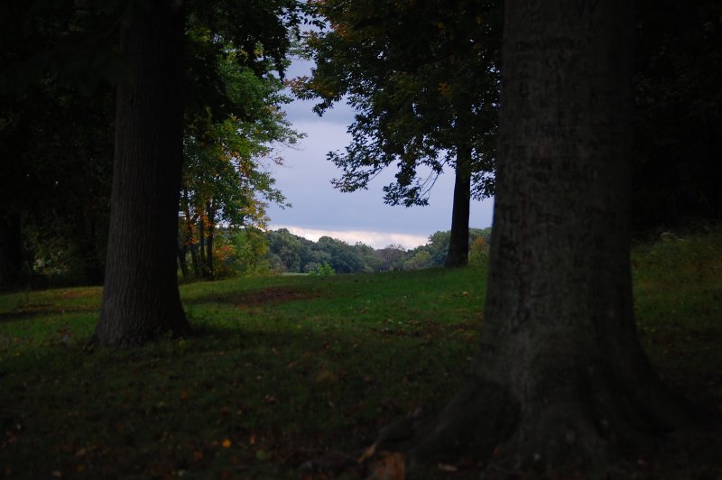 DSC_0093.JPG