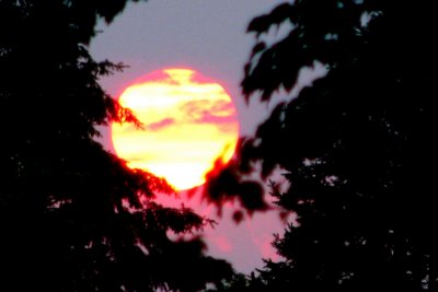 Sunrise in July