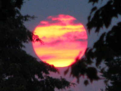 Sunrise in July