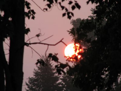 Sunrise in July