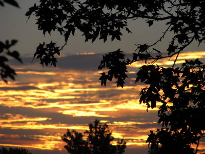 August Sunrise