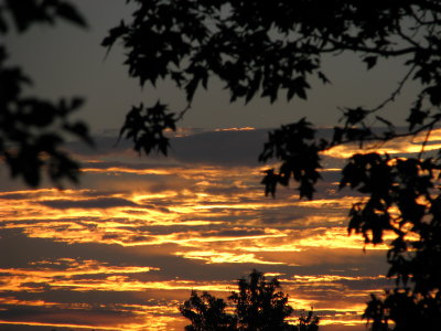 August Sunrise