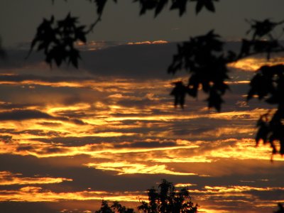 August Sunrise