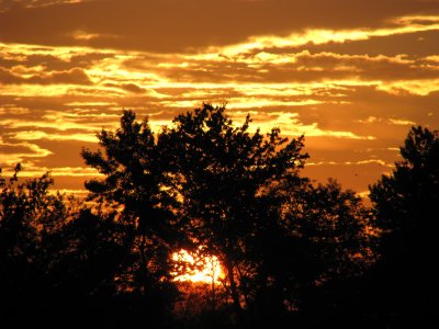 August Sunrise