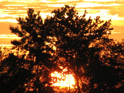 August Sunrise