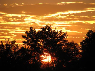 August Sunrise