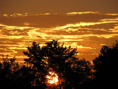 August Sunrise
