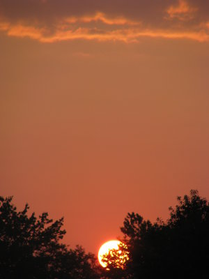 August Sunrise