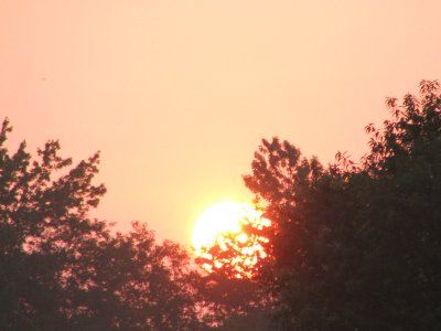August Sunrise