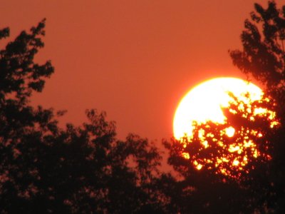 August Sunrise