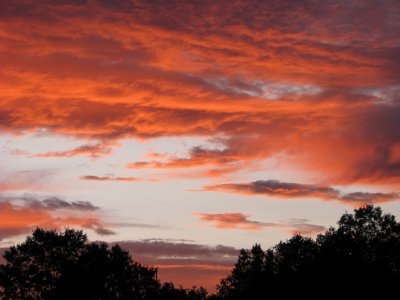August Sunrise
