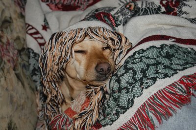 DSC_0022.JPG