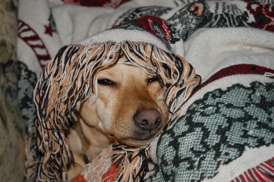 DSC_0023.JPG