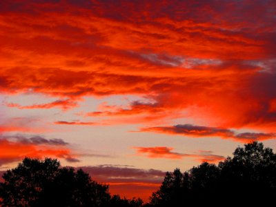 Sunrise-100PerCentSaturation-Re-Mix.JPG