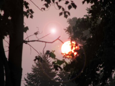 Sunrise-LensFlare-Re-Mix.JPG