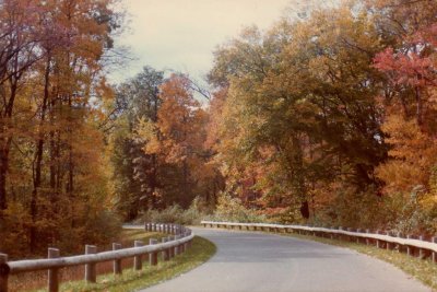 Core Creek Park