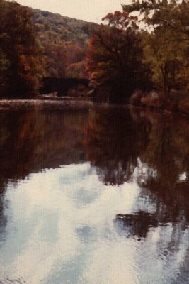 W_C_PA_OilCanvas.jpg