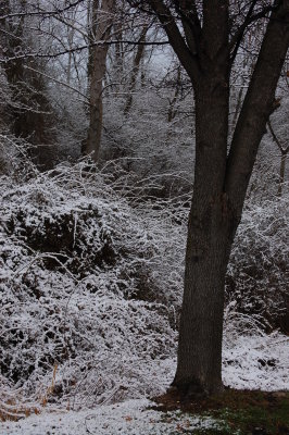 Original - 1st Day of Spring