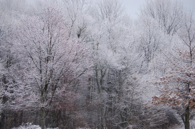 Welcome to Spring? - Spring - Day 1 Langhorne